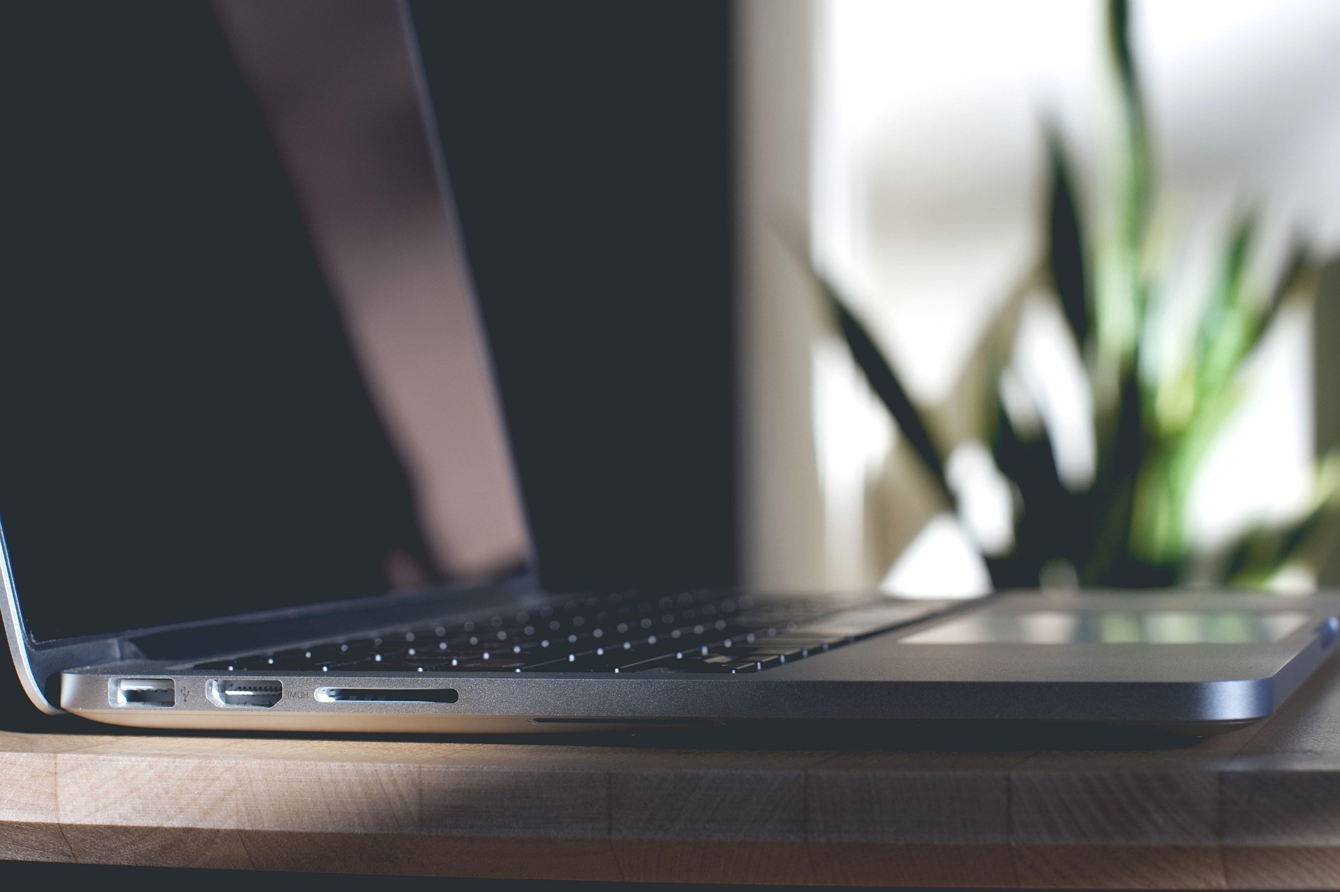 buddytej digital marketing agency