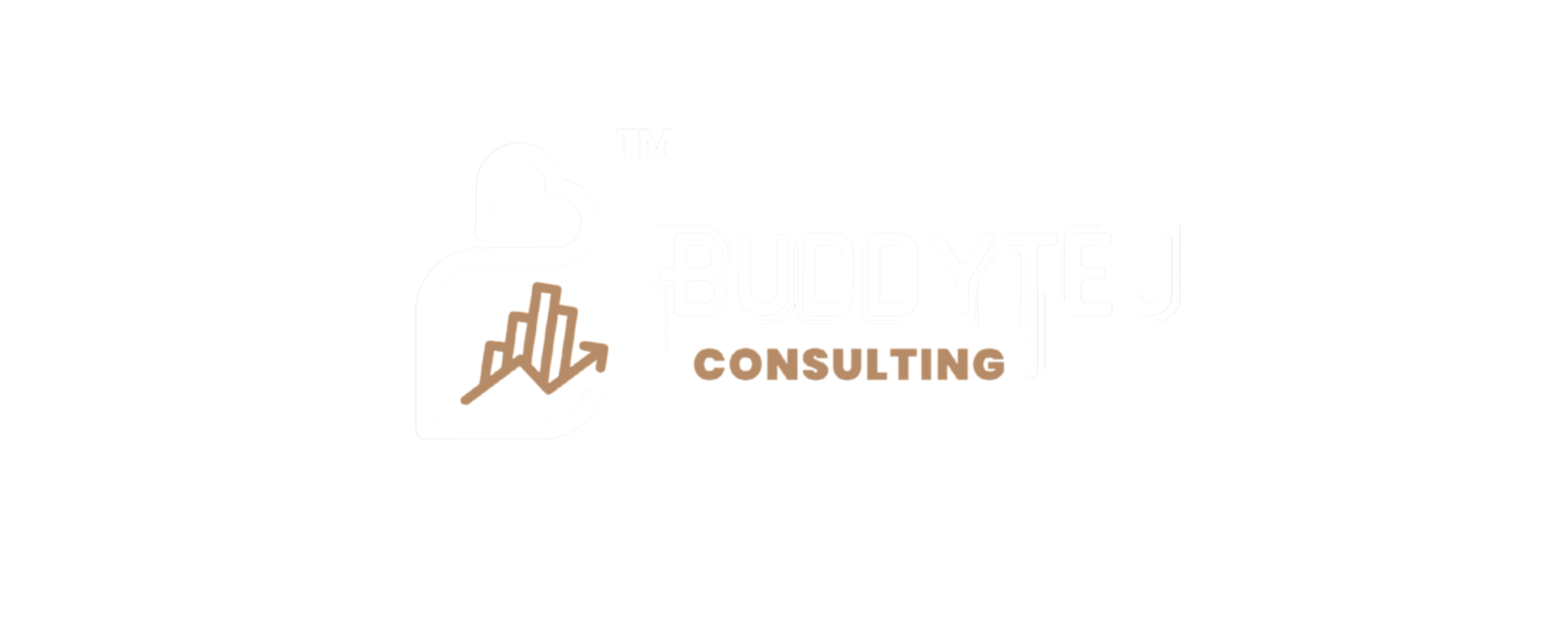 BuddyTej Consulting